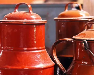 5 Clever Milk Jug Uses That Save Money in the Garden