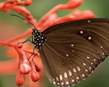 13 Core Values to Create a Meaningful Life Now