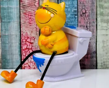 5 Best Toilet Bowl Cleaners the Spruce Tested