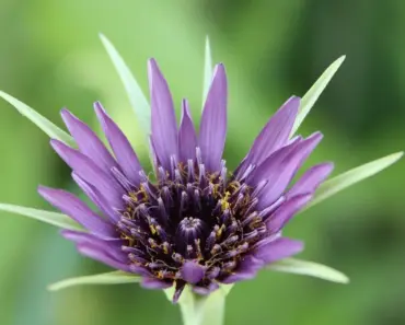 7 Crops to Plant in April for a Speedy Harvest 7 Crops to Plant in April for a Speedy Harvest