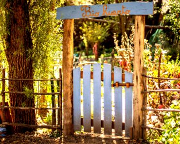 What Is Biodynamic Gardening? Understanding the Demeter Standard