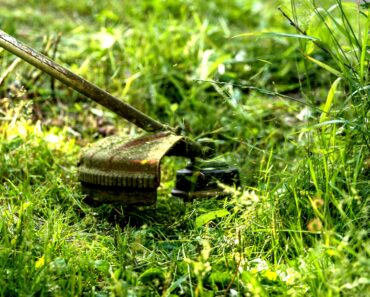 Maintenance of Gardens: Step-by-Step Seasonal Organic Guide