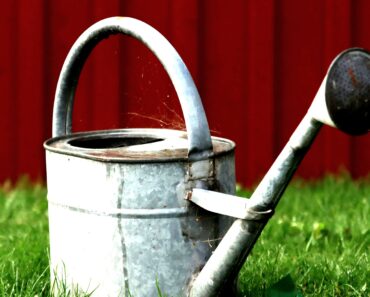 Classic Gardening: The Best Memoirs for Inspiration and Humor