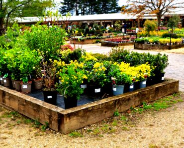 Landscaping and Gardening: A Guide to Hiring in Palm Beach Gardens