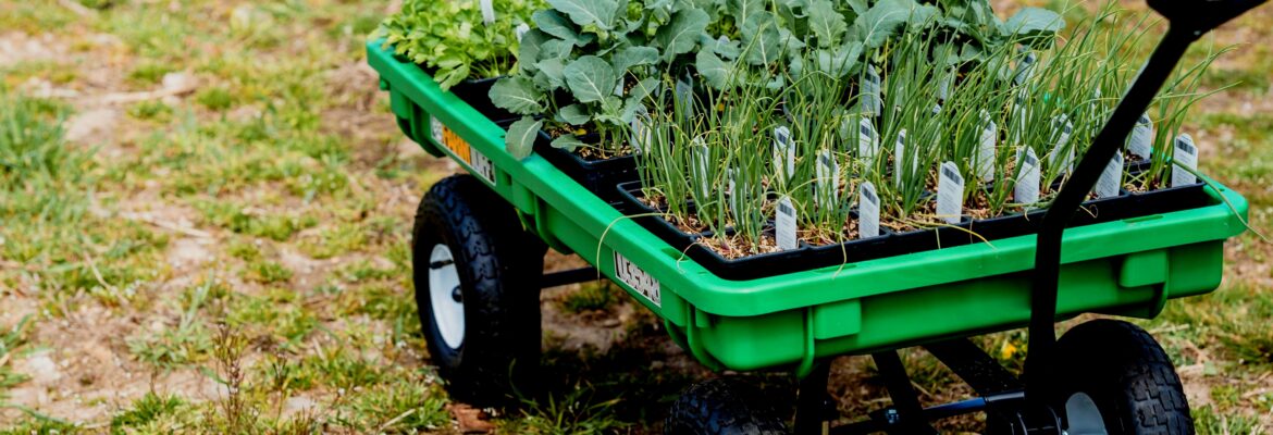 How to Organize Garden Work Zones for a Productive Backyard