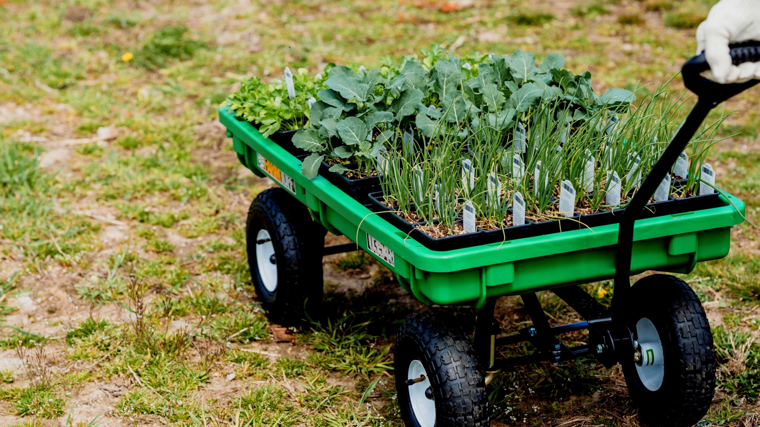 A rustic potting station with tools and storage bins organized into efficient garden work zones
