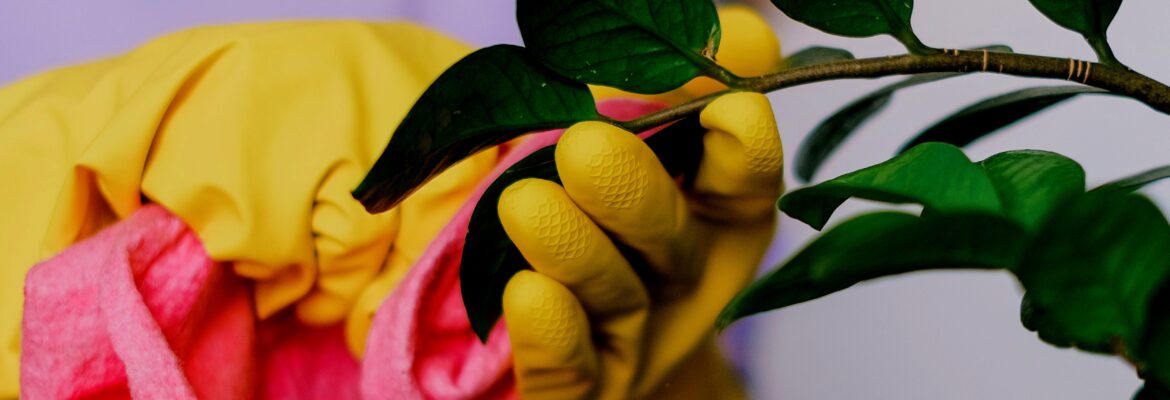 The Right Way to Do Gardening Clean: A Fall Garden Winterization Guide