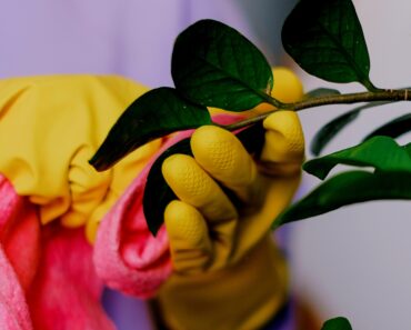 The Right Way to Do Gardening Clean: A Fall Garden Winterization Guide