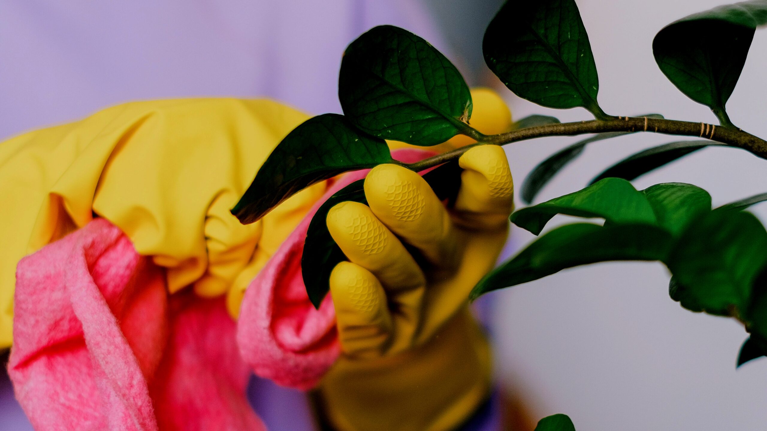 Fall gardening clean tips for wildlife-friendly garden cleanup
