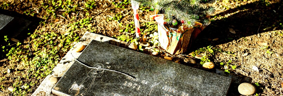Stonewall Memory Gardens: Burial Options in Civil War History