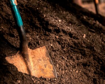 Garden Tools and Their Uses: A Beginner’s Checklist for Vegetable Gardens