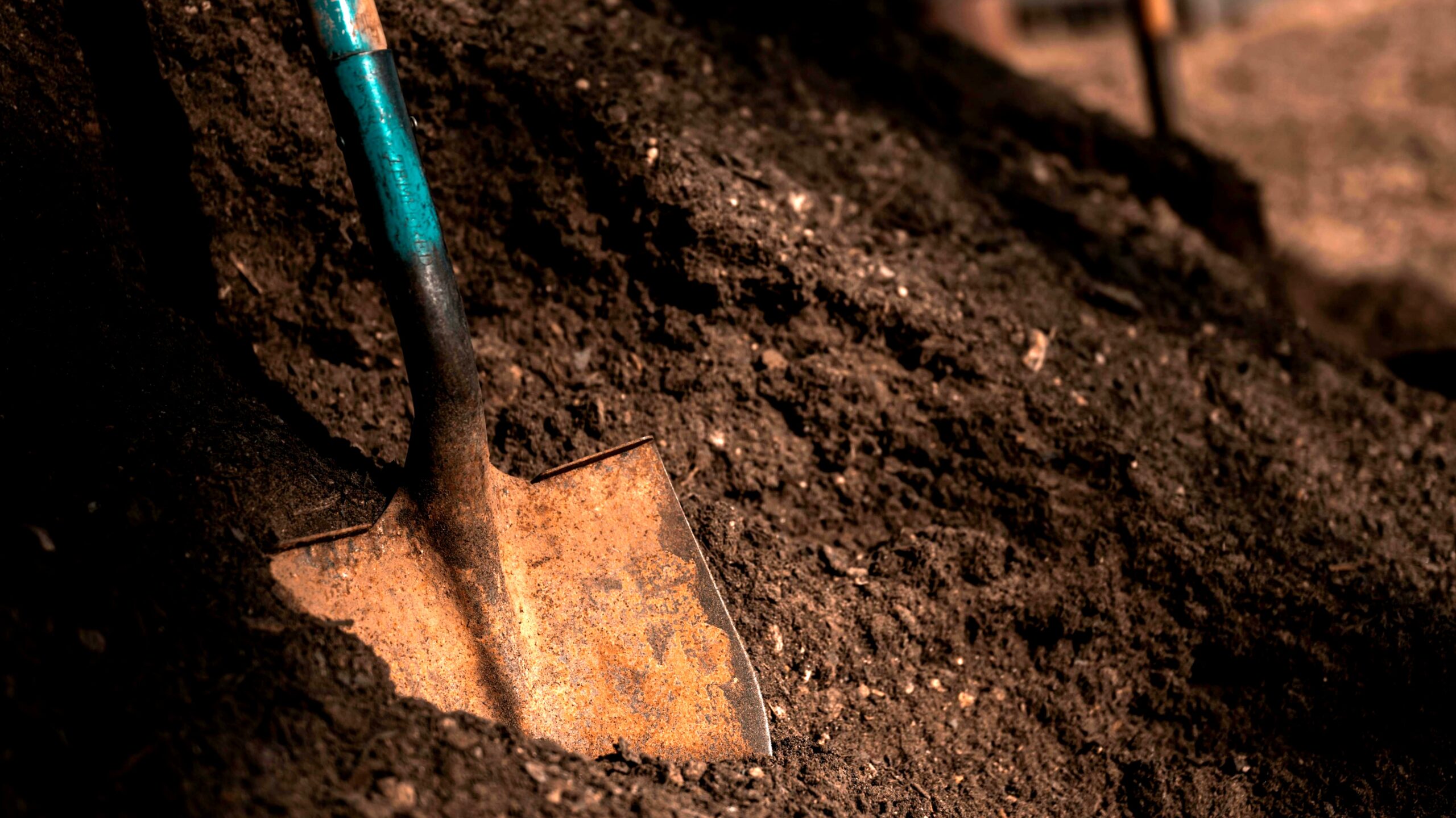 A collection of essential garden tools and their uses for a vegetable garden, including a hand trowel, pruners, and a watering can.