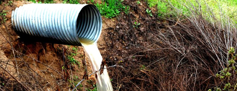 Outdoor Sewage Cleanup: Homeowner’s Checklist for Septic Failures