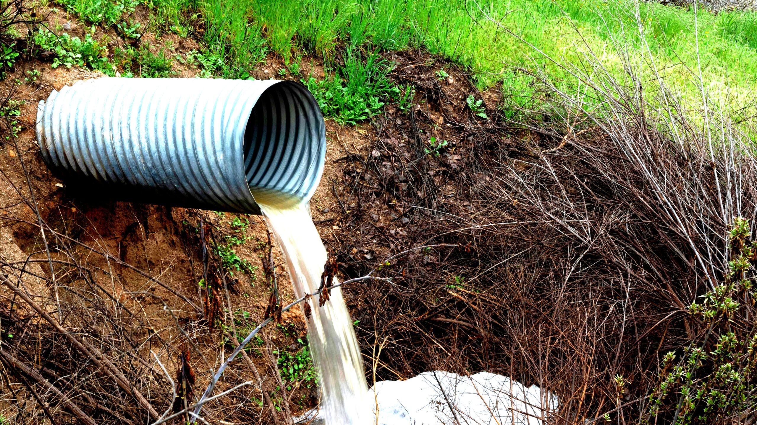Outdoor sewage cleanup scene with protective gear and lime treatment on contaminated ground.