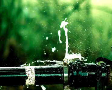 How to Spot an Outdoor Leak in Your Yard and Fix It How to Spot an Outdoor Leak in Your Yard and Fix It