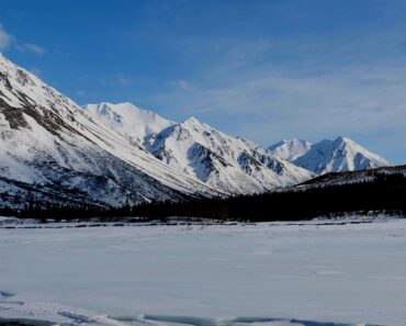 Redwood Outdoors Alaskan Cold Plunge: Ice vs Chiller Cost Analysis