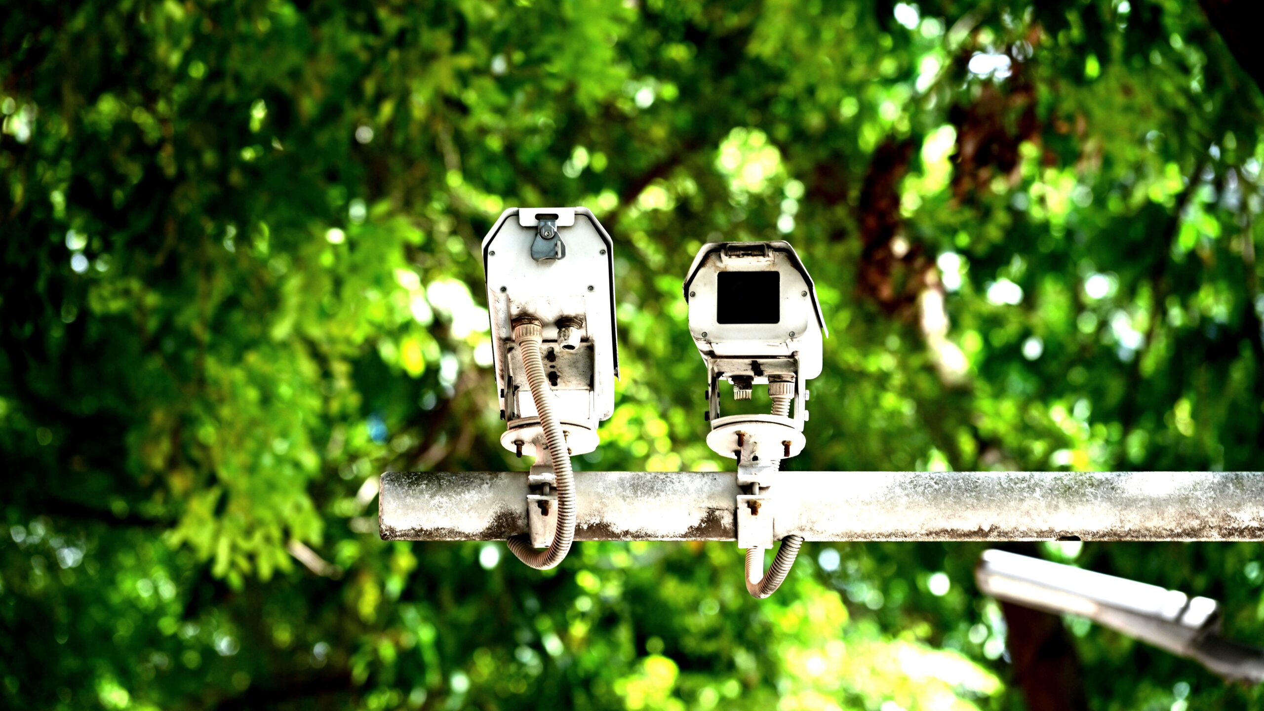Close-up of a Ring Outdoor Cam being mounted on a wall with a screwdriver and mounting plate, illustrating installing outdoor camera steps