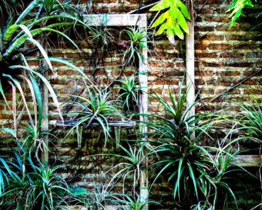 Hanging Gardens of Babylon vs. Nineveh: A Theory Analysis