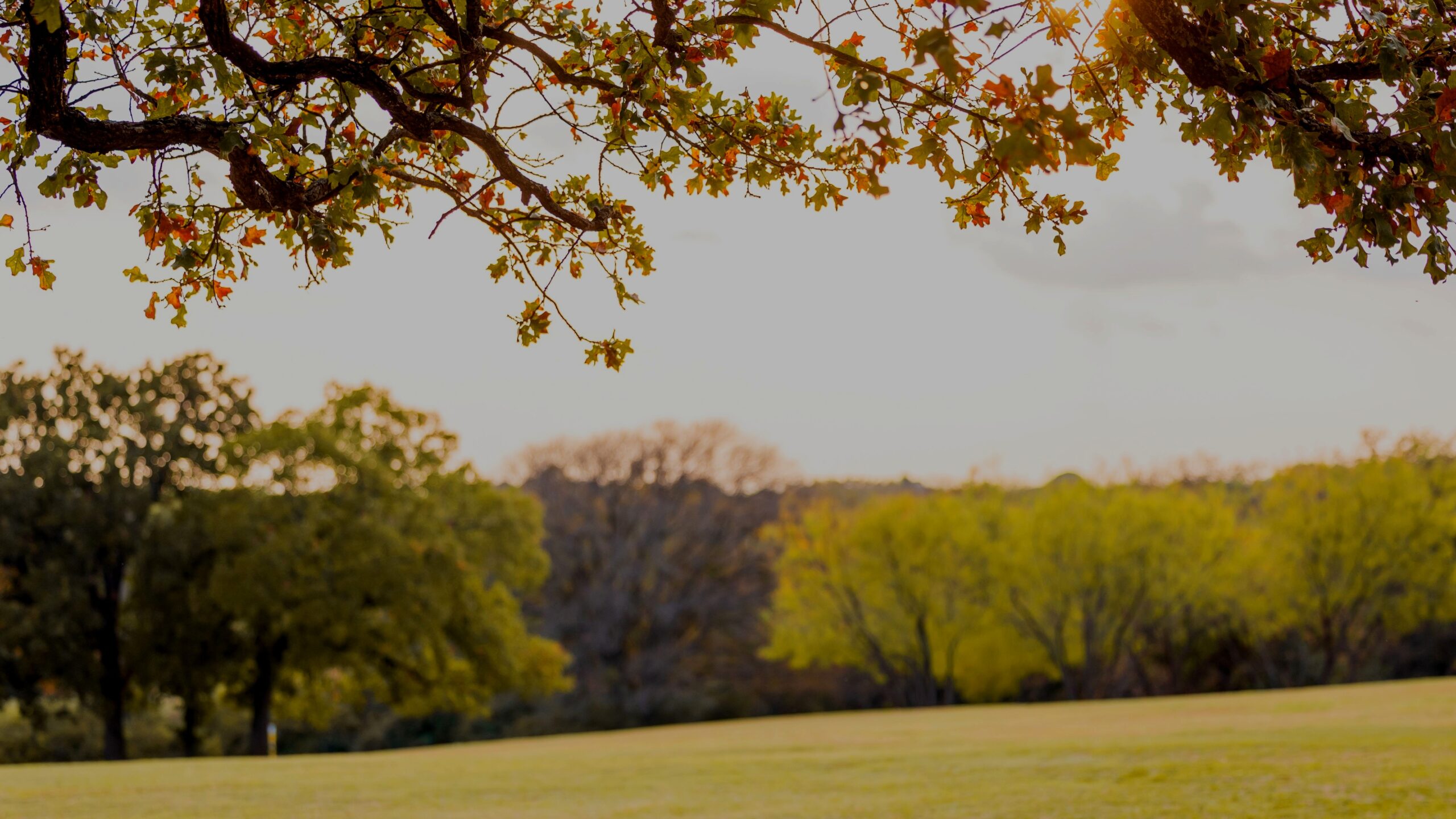 Exterior of Firefly Gardens wedding venue with main house and event hall on 8 acres in Midlothian