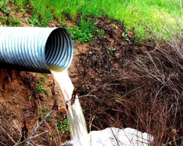 Choose the Right Outdoor Drain Cleaners for Landscape Drains