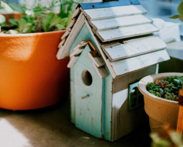 Inside House Garden: A Practical Checklist for Light, Humidity, and Space Inside House Garden: A Practical Checklist for Light, Humidity, and Space