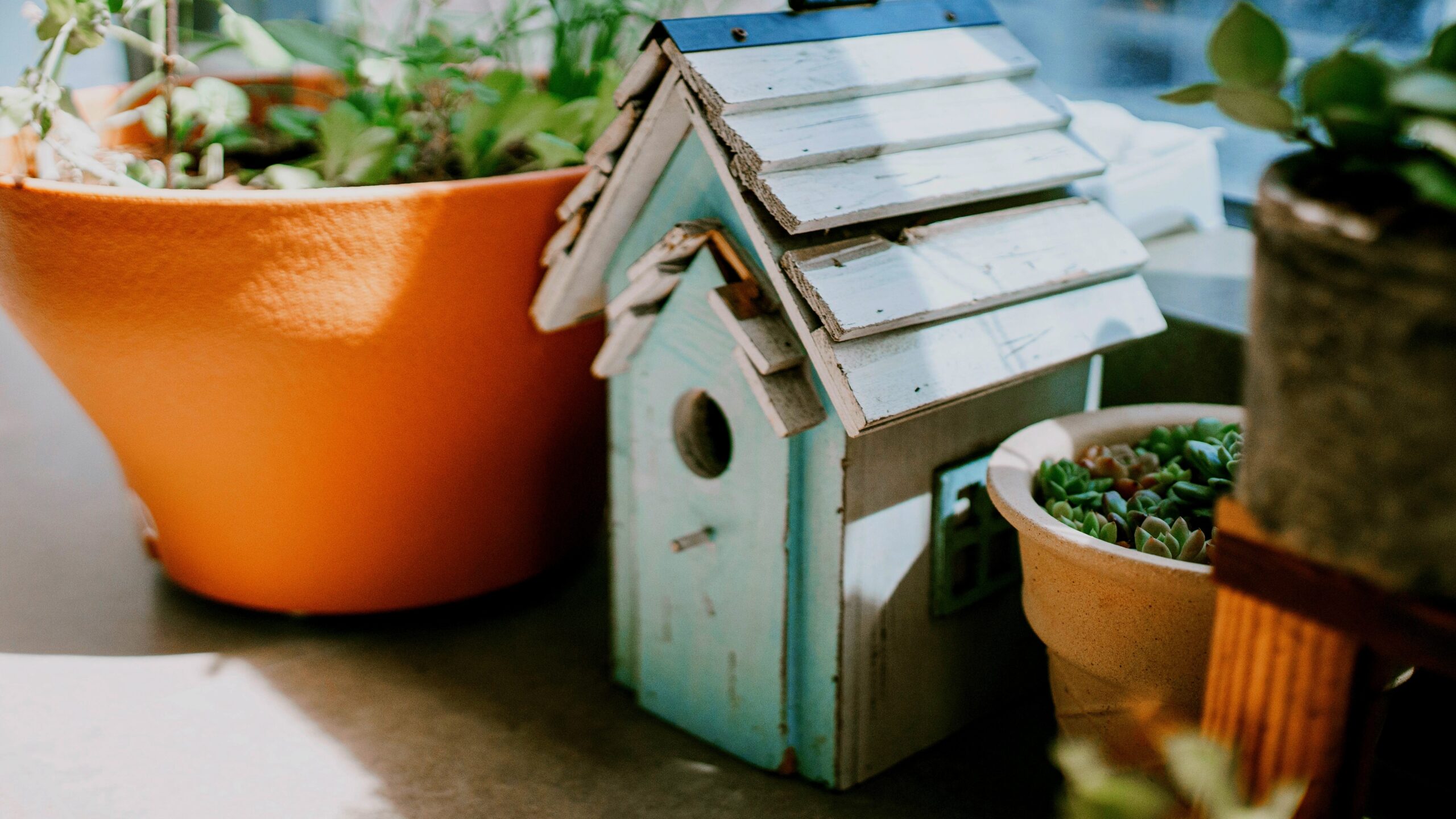 Inside house garden with raised beds and vertical planters in a well-lit room