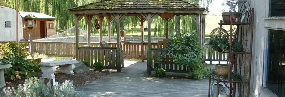 21 Backyard Shade Ideas From Pergolas to Decorative Foliage