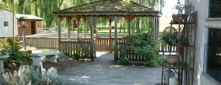 21 Backyard Shade Ideas From Pergolas to Decorative Foliage