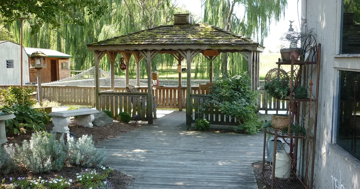 Backyard shade ideas
