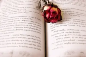 7 Life-Changing Books to Transform Your Mindset