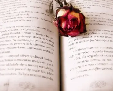 7 Life-Changing Books to Transform Your Mindset