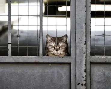 13 Boring Habits That Quietly Rebuild Your Life