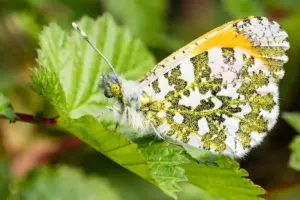 7 Truths Cheap Gardening No One Tells Beginners