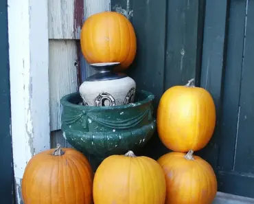 11 Outdoor Fall Decor Ideas for a Cozy Porch 11 Outdoor Fall Decor Ideas for a Cozy Porch