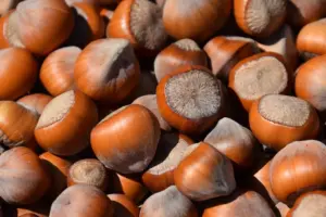 Shell Fava Beans Flawlessly or Skip It With This Trick