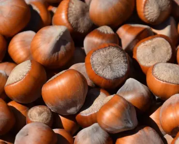 Shell Fava Beans Flawlessly or Skip It With This Trick