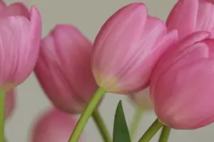 7 Spring Porch Decor Ideas Rarely Seen for Welcoming Home