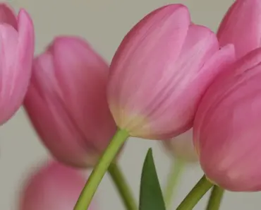 7 Spring Porch Decor Ideas Rarely Seen for Welcoming Home
