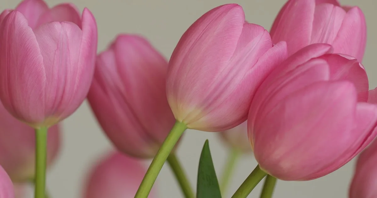Spring porch decor ideas