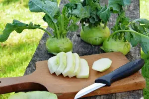 7 Tips for Starting a Home Vegetable Garden