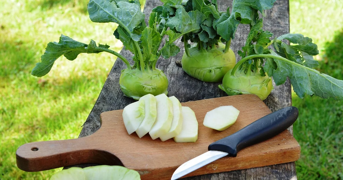 Starting a vegetable garden