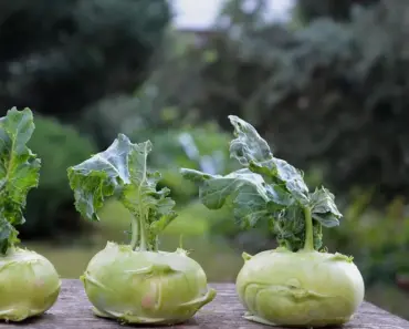 5 Smart Tips for Starting Your First Vegetable Garden