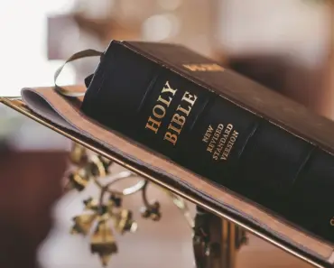 How Reading Books Actually Helps You Live Longer How Reading Books Actually Helps You Live Longer