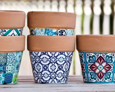 7 Container Gardening Ideas Anyone Can Grow