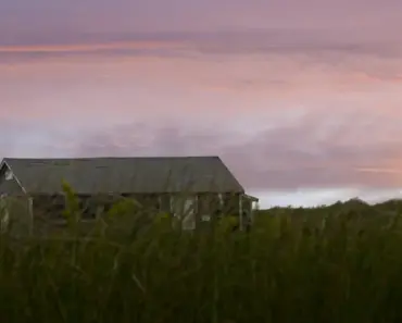 Thoughtfully Designed Martha’s Vineyard Wedding Feels Like Home