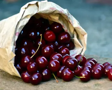 7 Ways to Maximize Summer Harvest According to an Expert