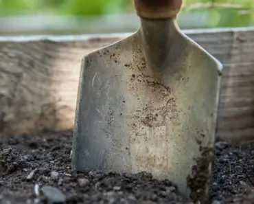 Gardening? Yeah I Know. Ever Tried No-Dig