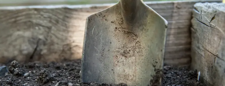 Gardening? Yeah I Know. Ever Tried No-Dig