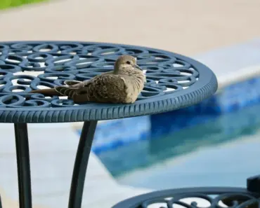 13 Patio Décor Ideas Interior Designers Swear By