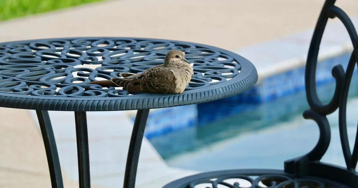 Patio decor ideas